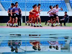 关于南平队奏凯而归：复兴之路越发明朗的信息