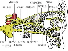 诺曼迪尤吸引眼球长传屡屡造成威胁