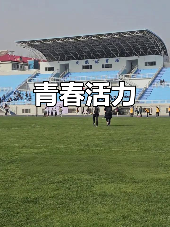 北马其顿队奋力逼平对手，展现拼搏精神的简单介绍